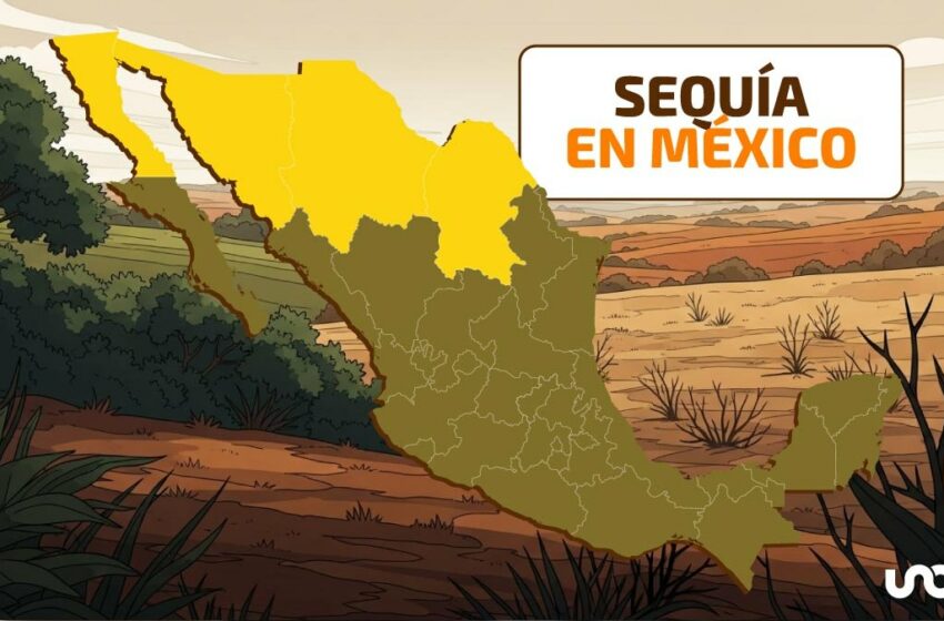 Sequía 2025: 186 municipios aún afectados, Sonora el más crítico – UnoTV