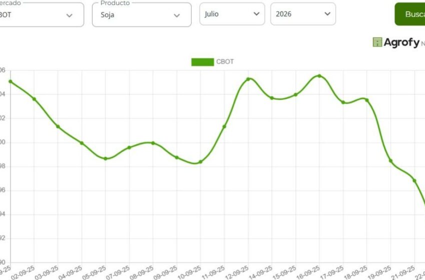  Argentina agrega presión al precio de la soja y el trigo