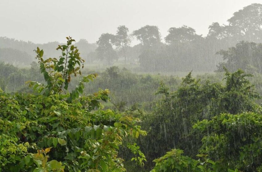 ¿Lloverá hoy, lunes 15 de septiembre? Este es el pronóstico de lluvias en Guerrero