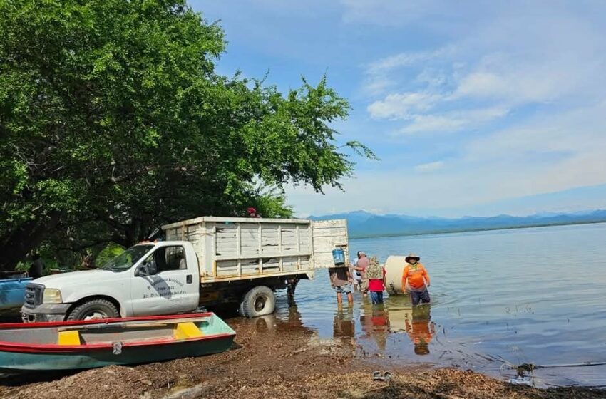  Fortalecen la pesca local: Liberan 25 mil alevines en la presa de Jalapa del Marqués