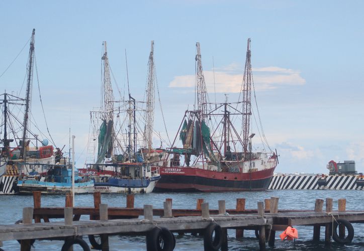  Pescadores de Puerto Juárez sufren tras ampliación de la veda del camarón – Grupo SIPSE