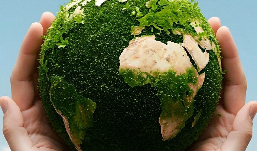  Analizan actitudes con respecto al medio ambiente y hallan que en las redes la gente …