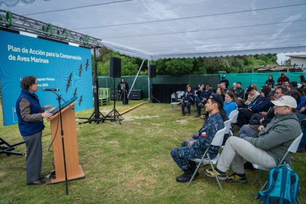Día Mundial de las Aves Migratorias: Lanzan plan con 35 iniciativas para proteger las aves …