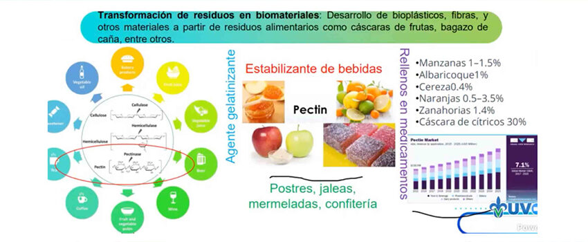 Industrias biotecnológicas, opción para aprovechar residuos alimentarios – Universidad Veracruzana