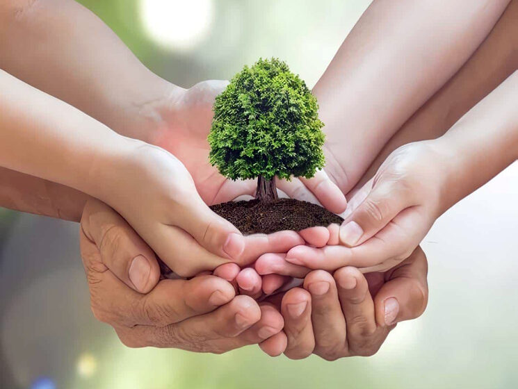  Cuidemos nuestro medio ambiente – Diario de Noticias y Actualidad de Loreto – Iquitos – Ucayali