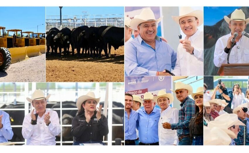  Gobernador Durazo beneficia a pequeños y medianos ganaderos sonorenses con entrega …