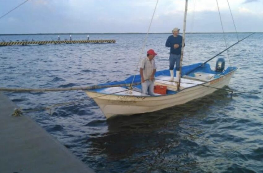  Pescadores temen golpe a sus ingresos – Campeche HOY