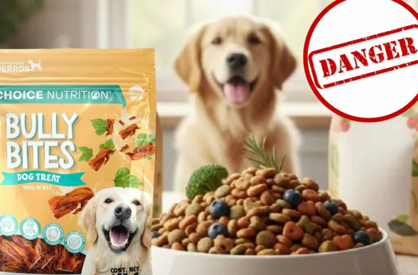  Retiran del mercado marca de premios para mascotas; podrían contener bacteria mortal