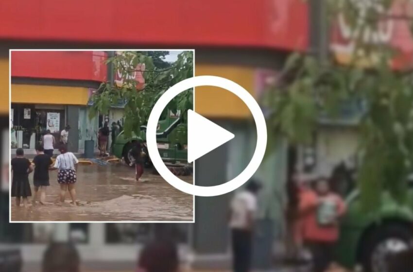VIDEO: Rapiñan colchones, alimentos y medicinas en Poza Rica, Veracruz tras inundaciones