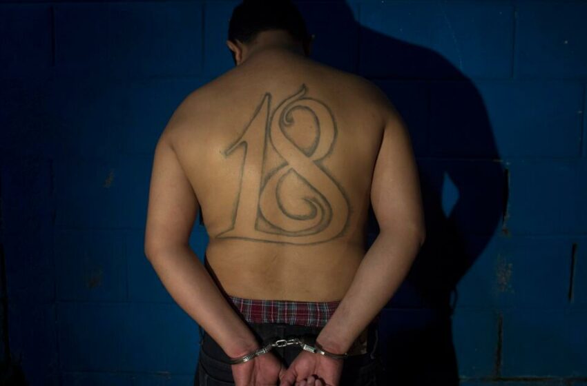  El Salvador: condenan a dos exministros, un exalcalde y dos personas más por negociar con pandillas