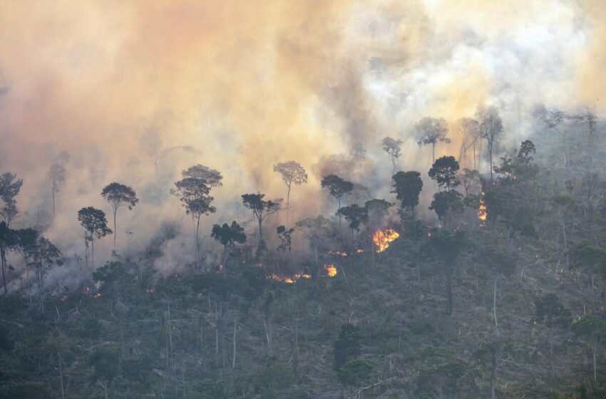  La COP30 finaliza con una gran decepción, ante la ausencia de planes de ruta para combatir la crisis climática
