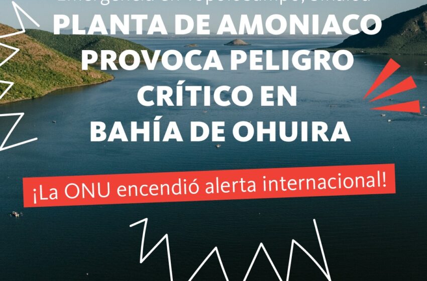  Peligrosa planta de amoníaco en territorio indígena de Sinaloa desata alerta internacional