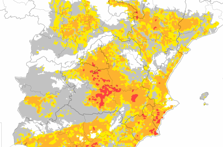  El mapa de la desertificación en España: el 40% del territorio está en camino de dejar de …
