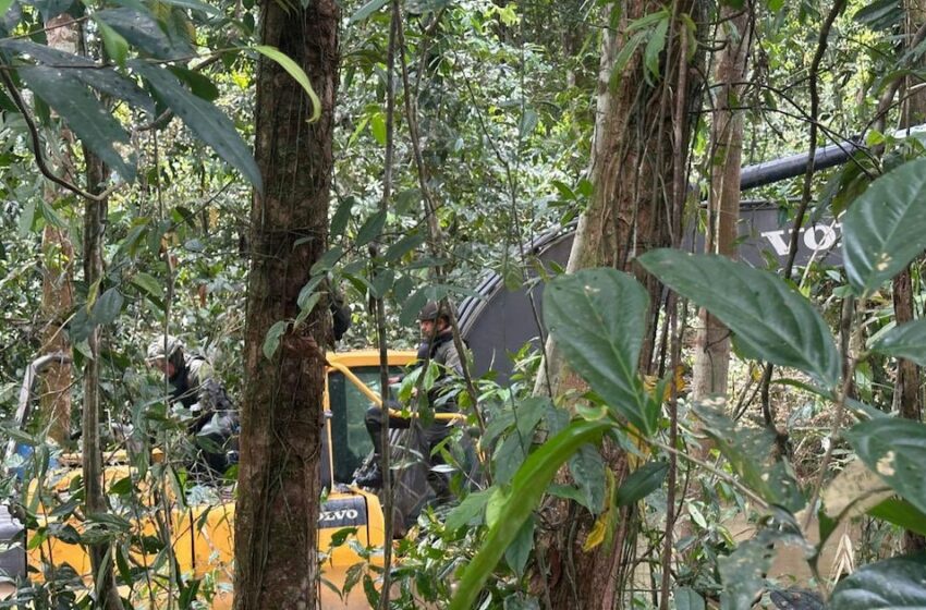 Autoridades desarticularon red de minería ilegal vinculada a las disidencias y los … – Infobae