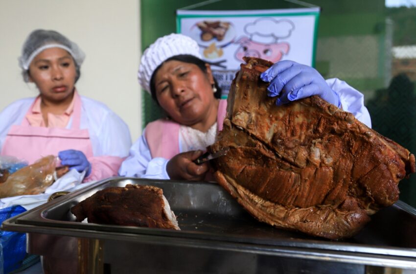  Bolívia certifica a sus caseritas – Diario de Yucatán