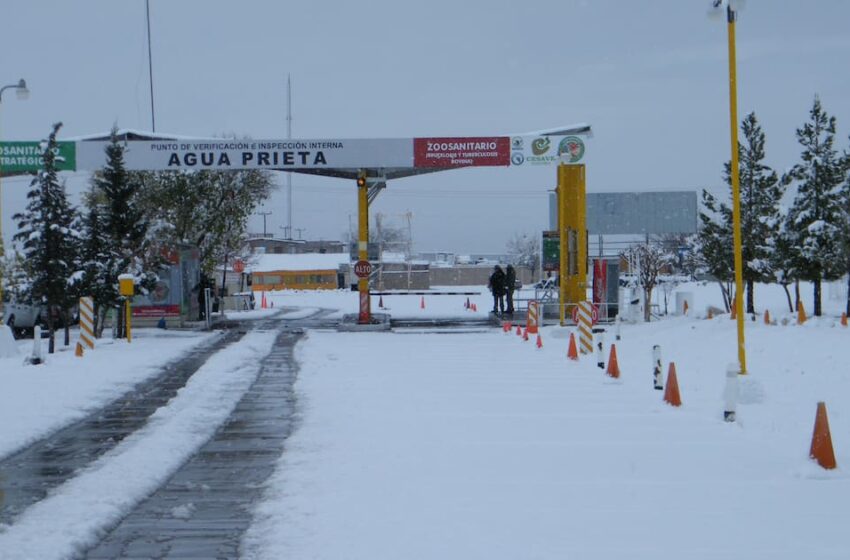  Sonora enfrenta primera tormenta invernal de la temporada; alertan por bajas temperaturas …