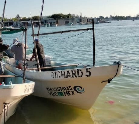  Tres pescadores extraviados tras salir de pesca en Celestún – Noticias de Yucatán