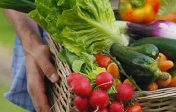  Darán 20 dólares semanales para comprar alimentos frescos en NY, EU