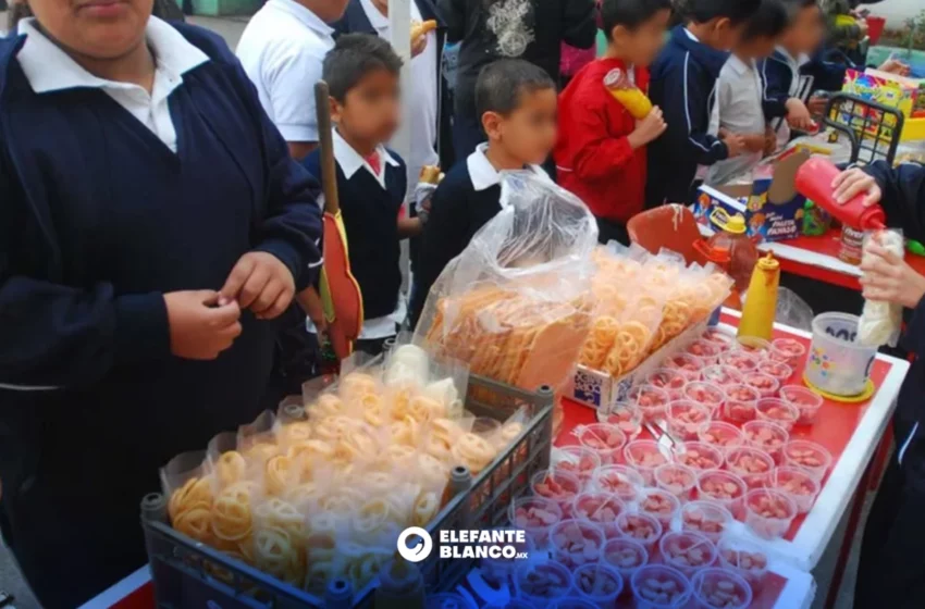  Escuelas de Tamaulipas incumplen la ley contra la comida chatarra – Elefante Blanco