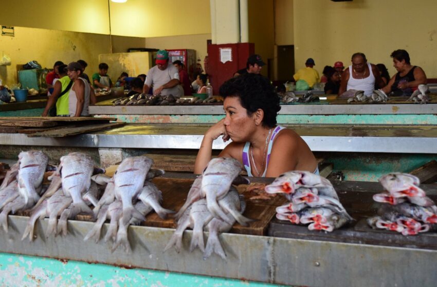  Celebremos la pesca y a las personas pescadoras – La Jornada Maya