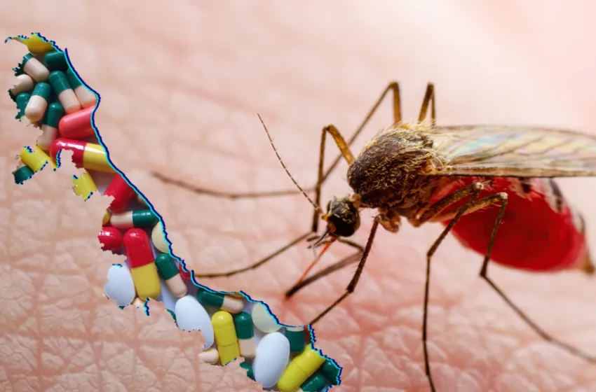  Sonora y Veracruz registran defunciones por dengue en 2025 – Dossier Político