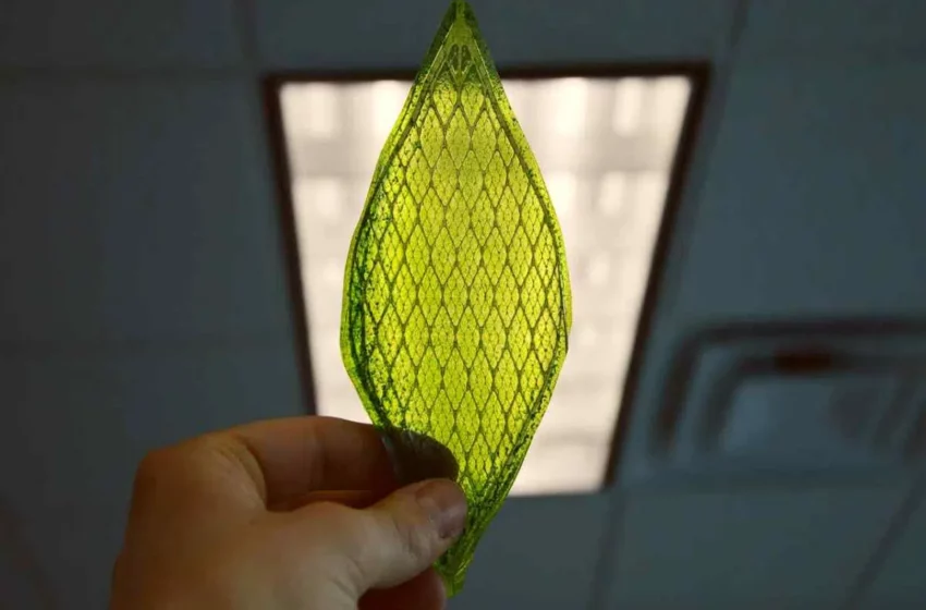  Hojas artificiales: inventan un dispositivo solar que convierte el CO2 en combustible limpio mediante procesos …