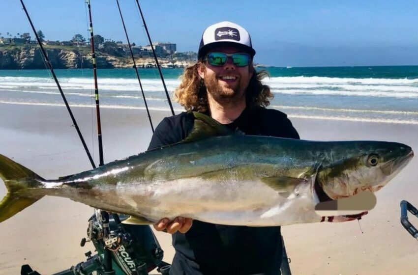  Michael Rijavec: Hallan cuerpo de influencer desaparecido en BCS – Milenio