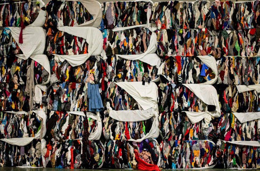  Del contenedor de tu barrio a Emiratos y Pakistán: ¿qué ocurre con la ropa donada?