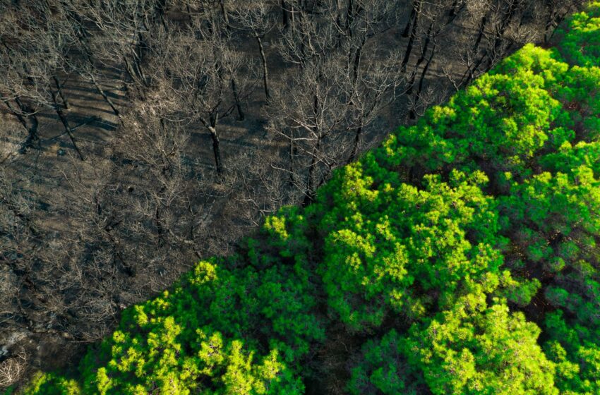  El aumento de los fenómenos climáticos extremos pone al límite la capacidad de adaptación de los Estados