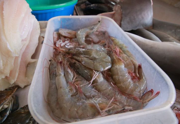  Yucatán, referente en el sector pesquero a nivel nacional – Grupo SIPSE