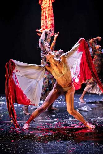  Dedicarse a la coreografía en México es casi una militancia: Raúl Tamez