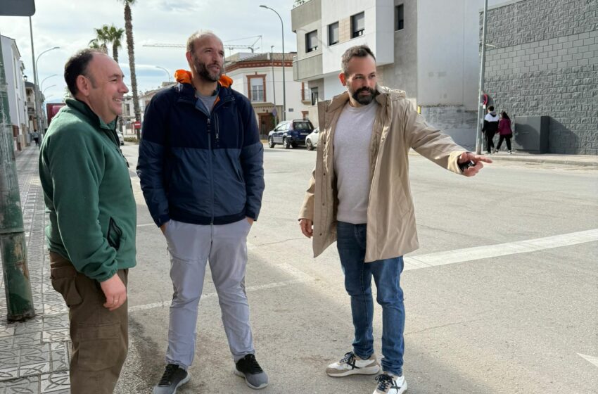  El Ayuntamiento inicia la plantación de árboles en la Avenida Olivares para mejorar la …