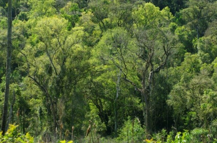  Menos que medio ambiente – Clarin.com