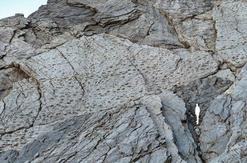  Descubren un colosal «valle de los dinosaurios» en Italia con miles de huellas fósiles