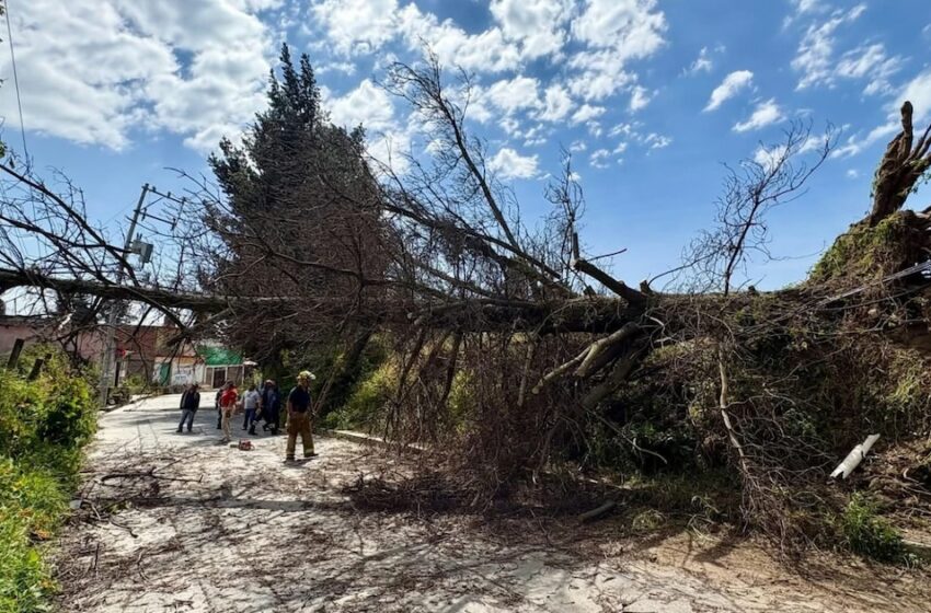  El frente frío número 23 traerá lluvias fuertes y vientos intensos antes de la Navidad