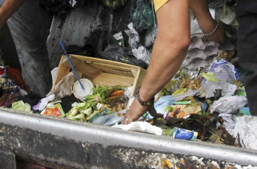  Alimentos que sobran: por qué el desperdicio comienza en el hogar – Siete24 Noticias