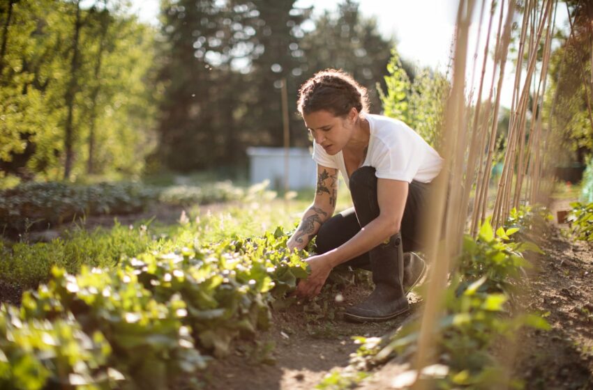  Las mujeres toman posiciones para poseer las tierras que trabajan – EL PAÍS