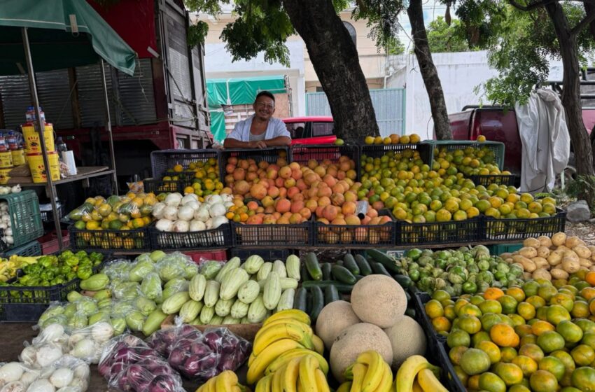  Ventas en Tianguis por Debajo de lo Esperado; Alimentos los que Más Percibieron Ligero Aumento