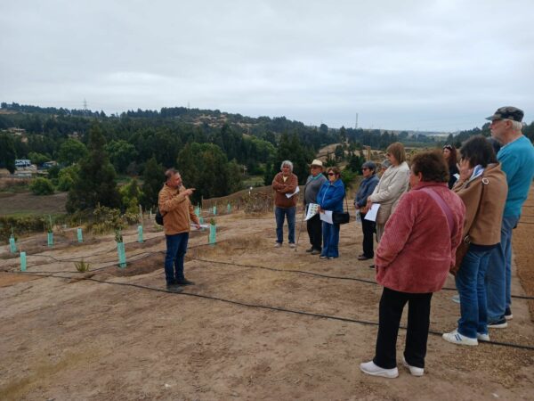  Finaliza exitoso proyecto de restauración ecológica en Los Maitenes, Puchuncaví – MMA
