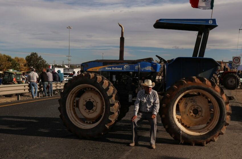  Gasolina para prender al campo mexicano – El Financiero