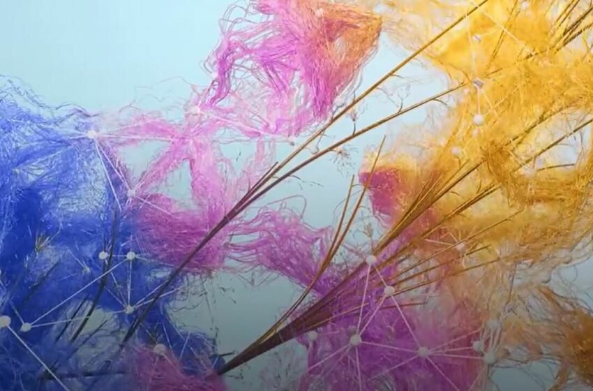  Más del 88 % de las empresas utiliza la IA en al menos una función