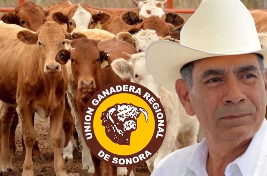  “Es un tema político… hasta que no haya voluntad no lo harán”: UGRS sobre cierre … – El Imparcial