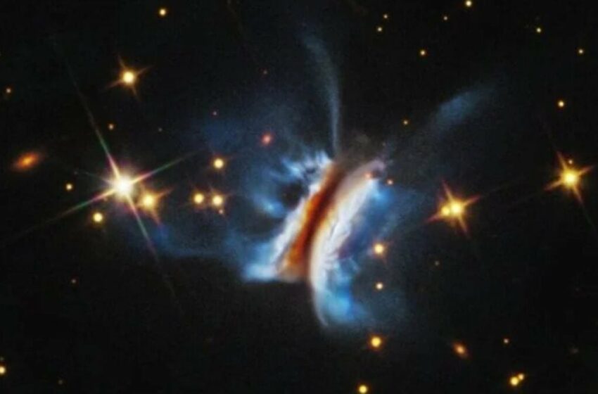  Conoce al Chivito de Drácula, el mayor criadero de planetas que hayan visto los astrónomos