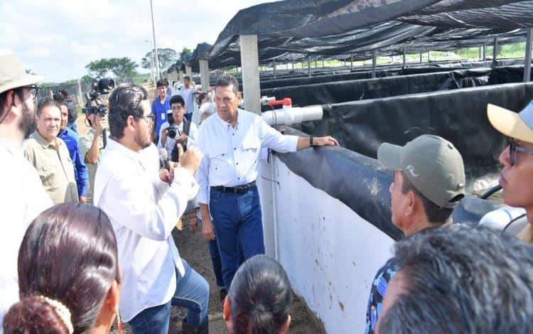  Rehabilitación de Piscifactoría en Teapa Tabasco – Diario Presente
