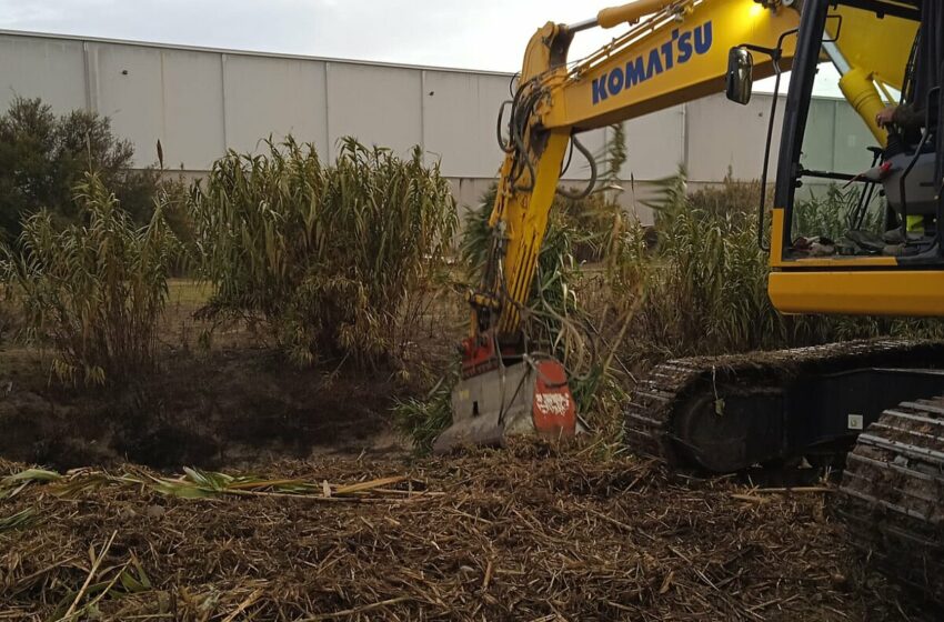  El Ayuntamiento limpia de maleza los accesos a Guadalcacín para preservar a la población …