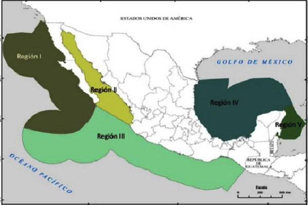  Plan Oceánico Sostenible 2025: México Blinda sus Mares – RegeneraciónMX