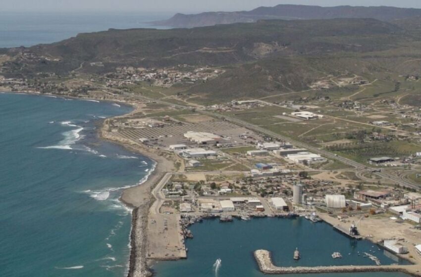  Ampliarán área para pesca en el puerto de El Sauzal | Periodico El Vigia