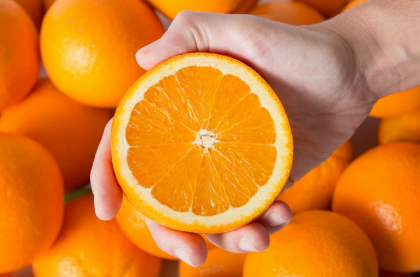  ¿Cuánto cuesta el kilo de naranja en diciembre? Descubre los precios en mercados y …