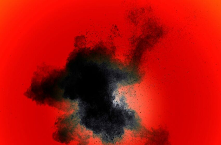  Descubren un organismo nunca visto que desafía la definición misma de la vida