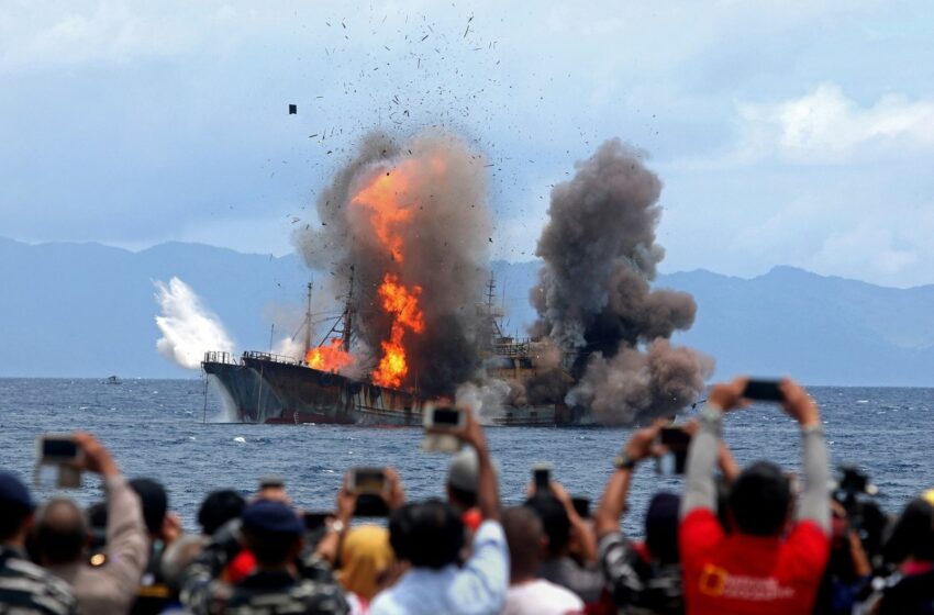  Quiénes son los detectives de delitos pesqueros que perseguían a los villanos en alta mar